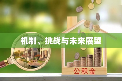 卫东机制、挑战与未来展望